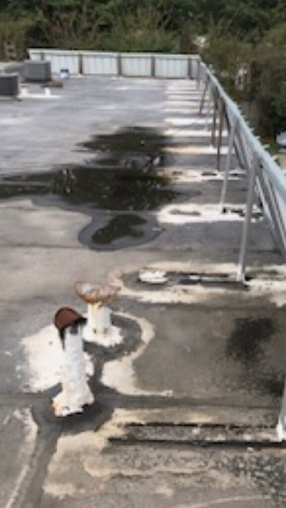 Ponding water on aging commercial flat roof before restoration