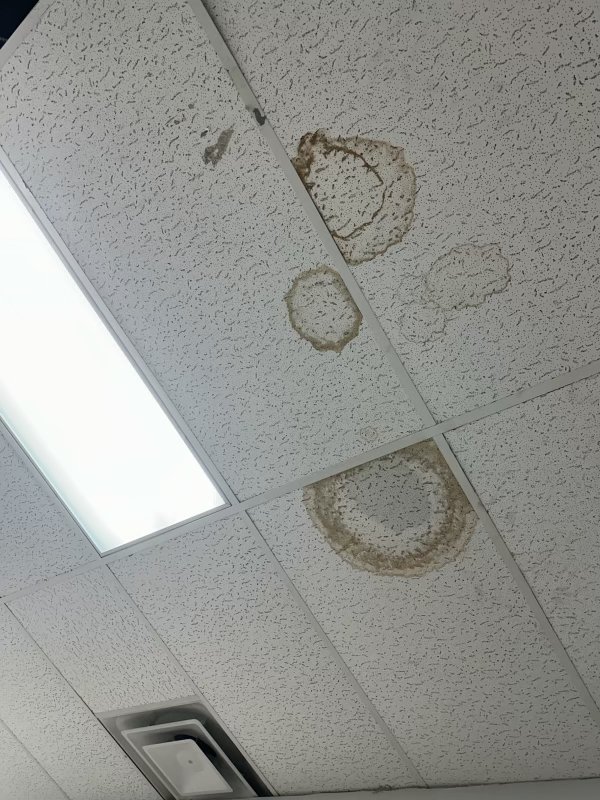 Water-stained ceiling tiles showing interior damage from a commercial roof leak
